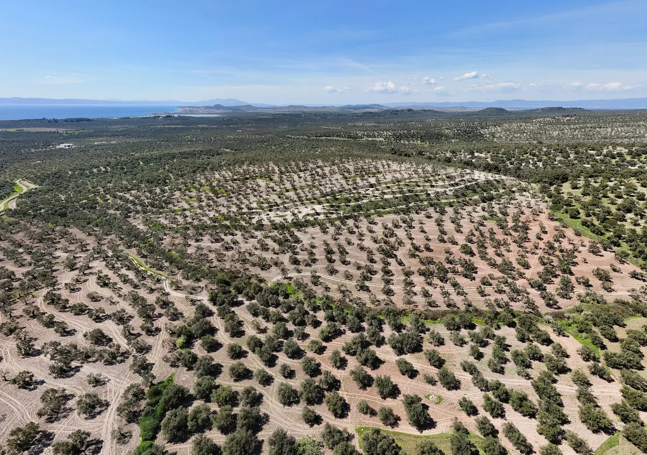 Land in Ayvalik
